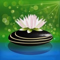 Lotus pink flower on black spa stone logo