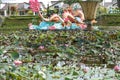 Lotus pink flowers on park lake. Royalty Free Stock Photo