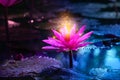 Lotus Pink light purple floating light sparkle purple background Royalty Free Stock Photo