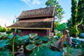 Lotus pods with old church background in the Phuttha Eoen temple