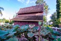 Lotus pods with old church background in the Phuttha Eoen temple