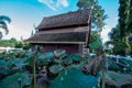 Lotus pods with old church background in the Phuttha Eoen temple