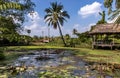 Lotus pond in front of the waterfront pavilion, The pond with lotus and  traditional pavilion. Royalty Free Stock Photo