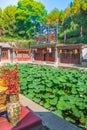 Lotus pond in the Summer Palace, Beijing, China Royalty Free Stock Photo