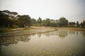 Lotus pond landscape Royalty Free Stock Photo