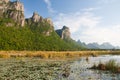 Lotus pond scenery