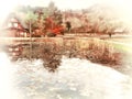 Lotus pond Shirakawago, ancient farmer village japan