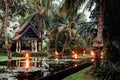 Lotus pond in tropical garden with coconut tree and pavilion in
