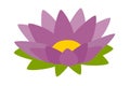 Lotus purple icon vector. Cartoon lotus