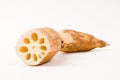 Lotus root Royalty Free Stock Photo