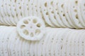 Lotus root Royalty Free Stock Photo