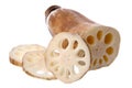 Lotus Root