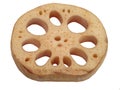 Lotus root