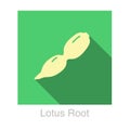 Lotus root food flat icon design vector illustration