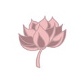 Lotus vintage style. Vector vintage illustration. Soft and pastel color. Coral and pink lotos lotus on white background. Royalty Free Stock Photo