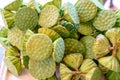 Lotus seed pods Royalty Free Stock Photo