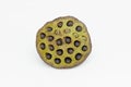 Lotus seeds close up on white background