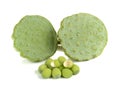 Lotus seeds solated on white