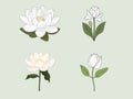 Lotus Serenity - Ethereal Illustration