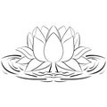 Lotus sketch Flower design elements illustration