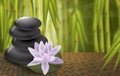 Lotus, spa rocks, Bamboo background Royalty Free Stock Photo