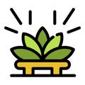Lotus tea ceremony icon color outline vector