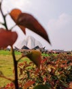 Lotus temple focused click. Royalty Free Stock Photo