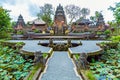 Lotus Temple with Pond, Ubud, Bali Royalty Free Stock Photo