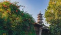 Lotus Tower between trees under blue sky in the old town of Wuzhen, China Royalty Free Stock Photo