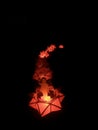 Lotus vesak lanterns with buddha statue