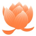 Lotus, water lily flower hand drawn illustration. Royalty Free Stock Photo