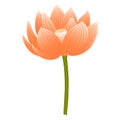 Lotus, water lily flower hand drawn illustration. Royalty Free Stock Photo