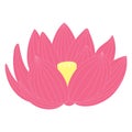 Lotus, water lily flower hand drawn illustration. Royalty Free Stock Photo