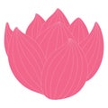 Lotus, water lily flower hand drawn illustration. Royalty Free Stock Photo