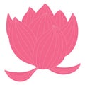 Lotus, water lily flower hand drawn illustration. Royalty Free Stock Photo