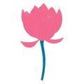 Lotus, water lily flower hand drawn illustration. Royalty Free Stock Photo