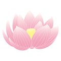 Lotus, water lily flower hand drawn illustration. Royalty Free Stock Photo