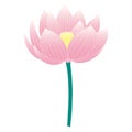 Lotus, water lily flower hand drawn illustration. Royalty Free Stock Photo