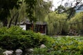 LOTUS WATER LILY SEED POD and Japanese castle SYDNEY Royalty Free Stock Photo