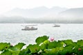 Lotus in West lake, Hangzhou Royalty Free Stock Photo
