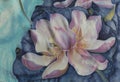 The lotuses. Batik. Decorative composition of flowers, leaves, buds. Use printed materials, signs, items, websites, maps, posters,