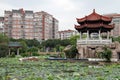 Lotuses in Quanzhou Royalty Free Stock Photo