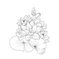 Lotusi line art, floral vector illustration, vintage engraved style flowers with water lily, lotus isolated on white background, Royalty Free Stock Photo