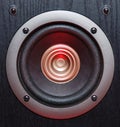 Loud speaker. Royalty Free Stock Photo