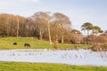 Lough Corrib in Ireland