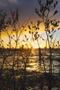 Lough Ennel Sunset Royalty Free Stock Photo