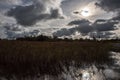 Lough Ennell Ireland