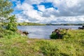 Lough Gill seen from Parke's Castle in County Leitrim, Ireland Royalty Free Stock Photo