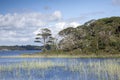 Lough Leane from Dinis Cottage Cafe Path, Killarney National Par