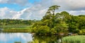 Lake Leane in a sunny morning, in Killarney National Park, County Kerry, Ireland. Royalty Free Stock Photo